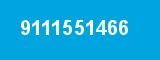 9111551466