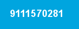 9111570281