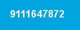 9111647872