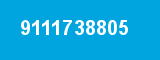 9111738805 9111738805