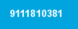 9111810381
