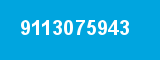 9113075943
