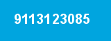 9113123085