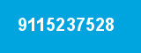 9115237528