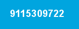 9115309722
