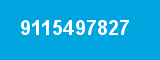 9115497827