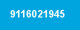 9116021945