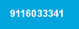 9116033341