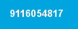 9116054817