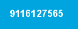 9116127565