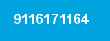 9116171164 9116171164