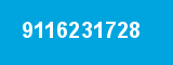 9116231728 9116231728