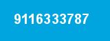 9116333787 9116333787