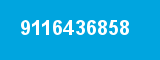 9116436858