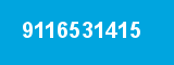 9116531415