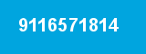 9116571814