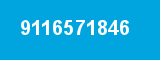 9116571846