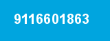 9116601863