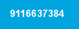 9116637384