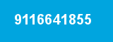 9116641855