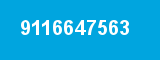 9116647563