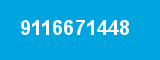 9116671448