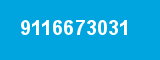 9116673031