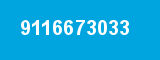 9116673033