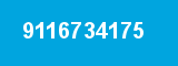 9116734175