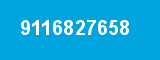 9116827658
