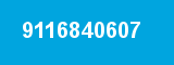9116840607