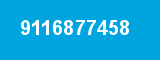 9116877458