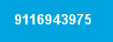 9116943975