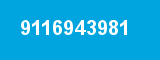 9116943981