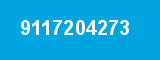 9117204273