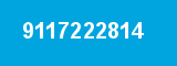9117222814
