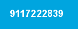 9117222839