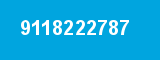9118222787 9118222787