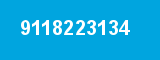 9118223134 9118223134
