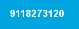 9118273120