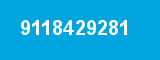 9118429281