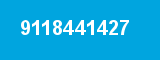 9118441427 9118441427