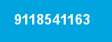 9118541163 9118541163