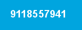 9118557941