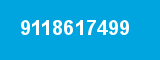 9118617499 9118617499