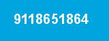 9118651864