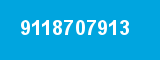 9118707913 9118707913