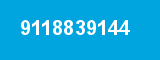 9118839144