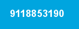9118853190