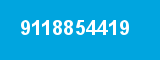 9118854419